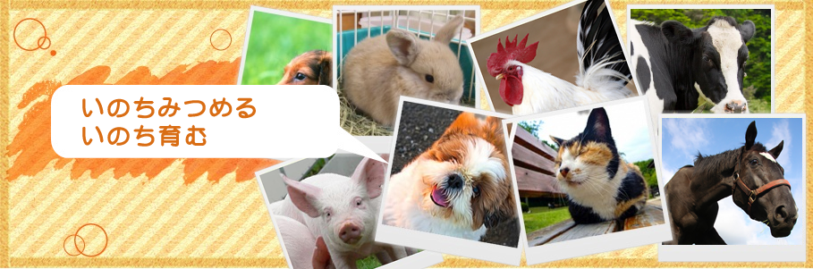 ���ꌧ�b��t��